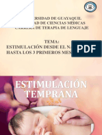 ESTIMULACION 1