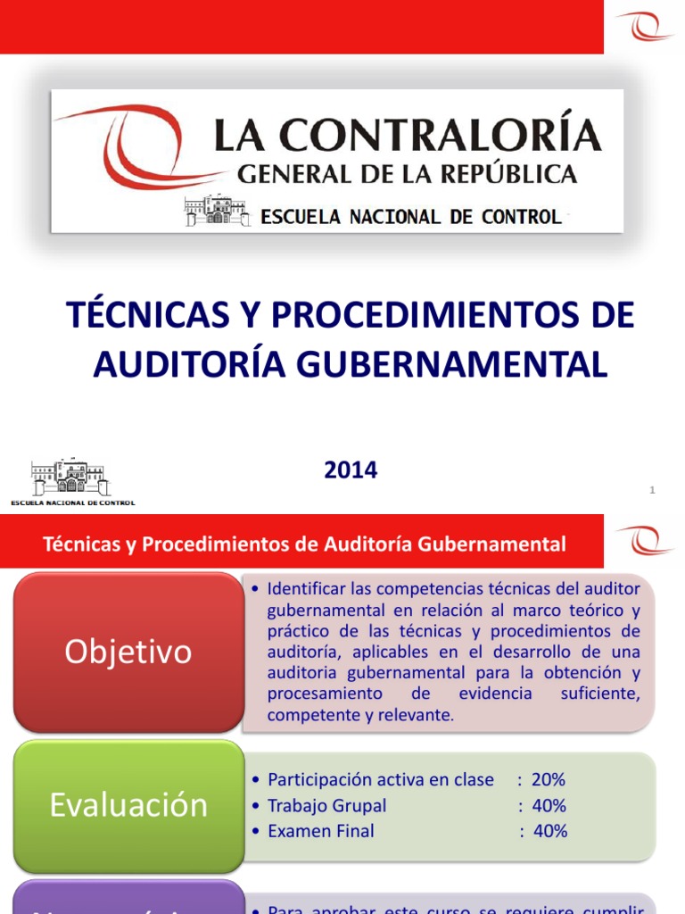 Técnicas de Auditoría Gubernamental | PDF | Auditoría | Contralor