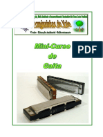 mini_curso_gaita.pdf