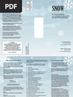 Snow Brochure