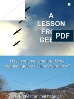 A Lesson From Geese