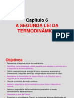 Capítulo 6 - A Segunda Lei Da Termodinâmica