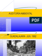 AUDITORIA AMBIENTAL Presentacion