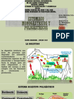 Lista Monogastrico y Poligastrico