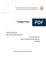 Trabajo Final Métodos Numéricos