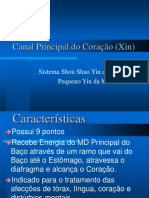 Canal Principal Do Coração (Xin)- Novo