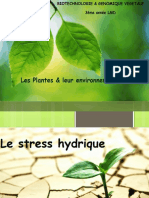 Stress Hydrique