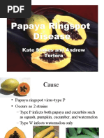 Download Papaya Ring Spot 2005 by Asmita Patil SN37084800 doc pdf
