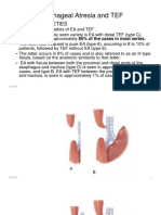 4. Esophagus