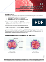 E3 - EMBRION BILAMINAR 2017 WEB 23-32.pdf