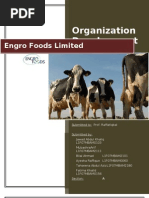 Download Engro Final Project by zahoor1948 SN37085856 doc pdf