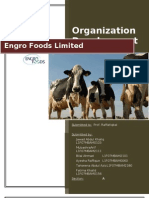 Organization Development: Engro Foods Limited