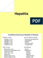 Detels Hepatitis