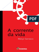 A Corrente da Vida - Walcyr Carrasco (1).pdf