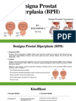 4 Benigna Prostat Hiperplasia Kelompok4