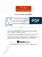 Acme Consulting - Sample Plan