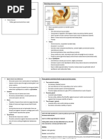 Sexual Reproduction: Male Reproductive System