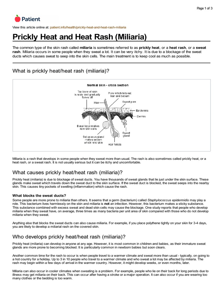 Prickly Heat and Heat Rash (Miliaria) | PDF | Cutaneous Conditions ...