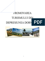 Promovarea Turismuluiindepresiune Dornelor