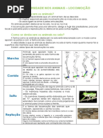 Apontamento 2º Teste