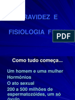 gravidez e fisiologia fetal.ppt