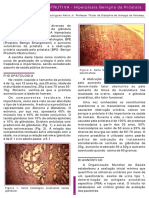 uropatia_obstrutiva_hiperplasia_benigna_da_prostata.pdf