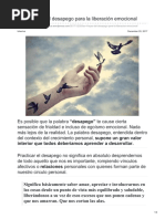 Las 4 Leyes Del Desapego Para La Liberaciónemocional