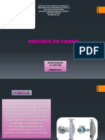 AMALIA PROCESO DE CAMPO.pdf