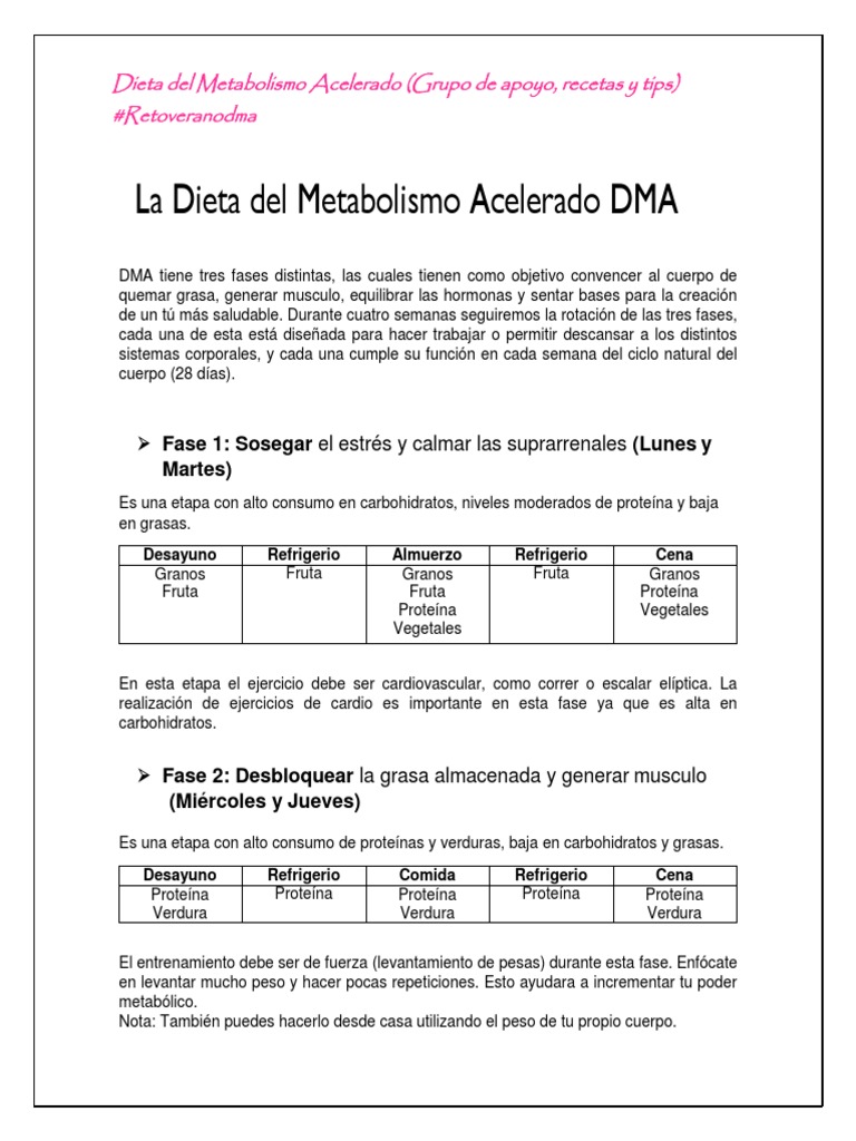Guia Dieta Del Metabolismo Acelerado | PDF | Decapado | Caldo