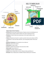 PR Sel Hewan Dan Tumbuhan