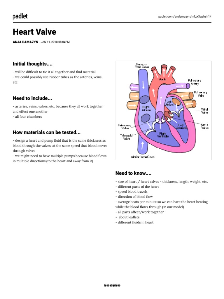 Padlet Mfzx3qahsh14 PDF
