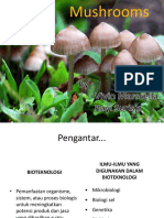 Bioteknologi Mushroom