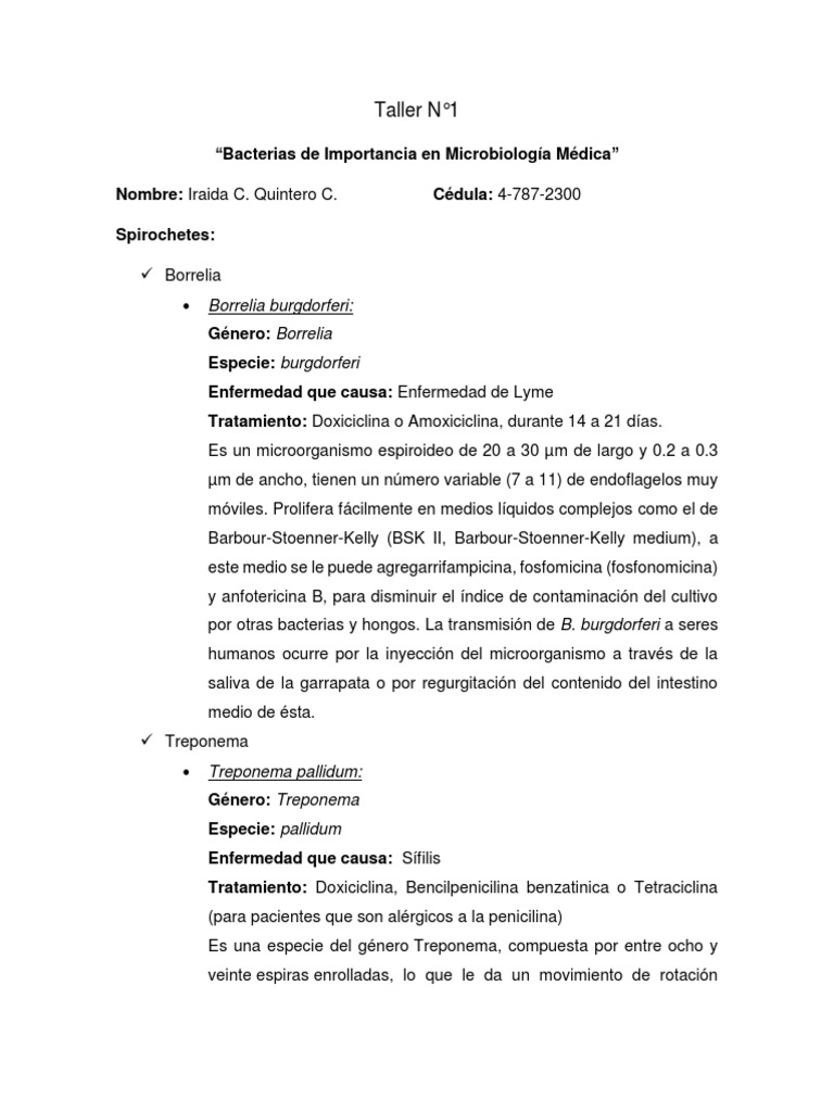 Bacterias de Importancia en Microbiología Médica