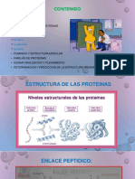 Estructura de Las Proteinas