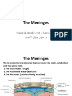The Meninges: Head & Neck Unit - Lecture 3 د - مسعلأا ليلج رديح