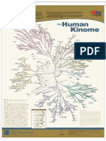 KinomePoster.pdf