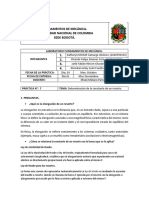 Informe 7