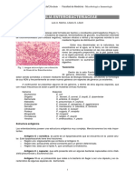 APUNTE Enterobacterias.pdf