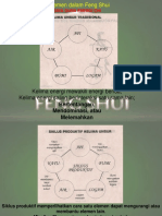 2 - 17 - 5 Elemen Dalam Feng Shui