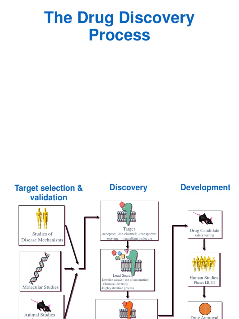 The Drug Discovery Process | Phases Of Clinical Research | Clinical Trial
