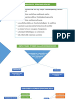 Principios epidemiologicos