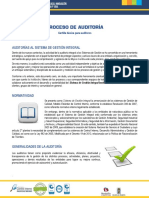 procesoauditoria ii.pdf