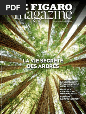 Le Figaro Magazine 29 30 Septembre 2017 | François Hollande Le Figaro Magazine 29 30 Septembre 2017 | François Hollande