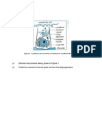 Biology: (I) Discuss The Process Taking Place in Figure 1