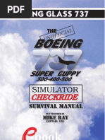 The Boeing 737-345 Simulator Checkride Survival Manual