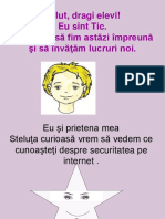 Securitatea Pe Net