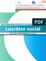 fisa_post_lucrator_social.pdf