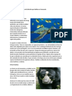 Algunas especies en peligro de Extinción que habitan en Venezuela.docx