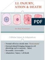 Cellular Injury (Dr. Rena)