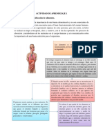 Evidencia Conceptualización y Clasificación de Alimentos